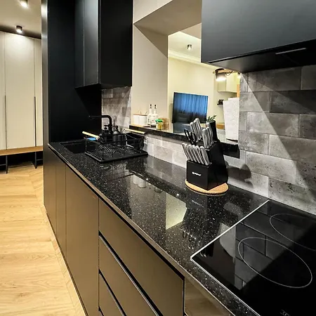 Momentum * 贝尔格莱德